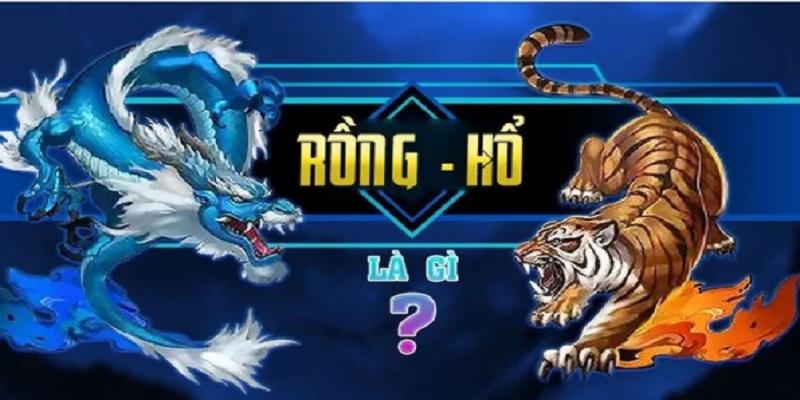 Bí quyết thắng lớn Game Rồng Hổ Shbet