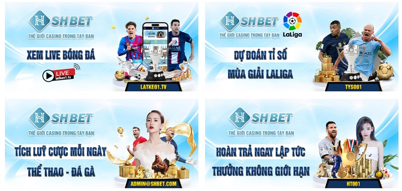 Vì sao anh em nên lựa chọn cá cược thể thao tại Shbet?